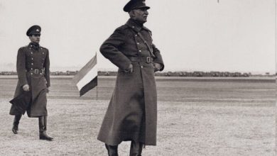 چه کسی قبر رضا شاه را ویران کرد و قبر رضا پهلوی امروز کجا است؟ + فیلم – تلگرام آپ