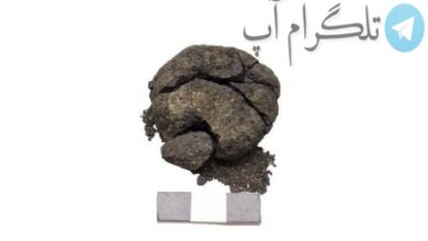 کشف یک تکه نان ۸۶۰۰ ساله در تنور قدیمی+عکس – تلگرام آپ