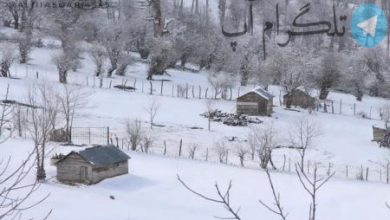 تصویر دیدنی از حجم برف در ارتفاعات تالش +عکس – تلگرام آپ