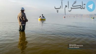 تصویری که ناسا از شیراز ثبت کرد و باعث خوشحالی مردم شد+عکس – تلگرام آپ