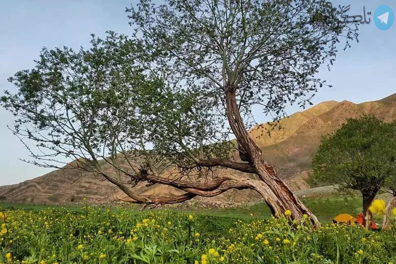 اینجا بهشت خوش آب و هوای تهرانی‌ها است!