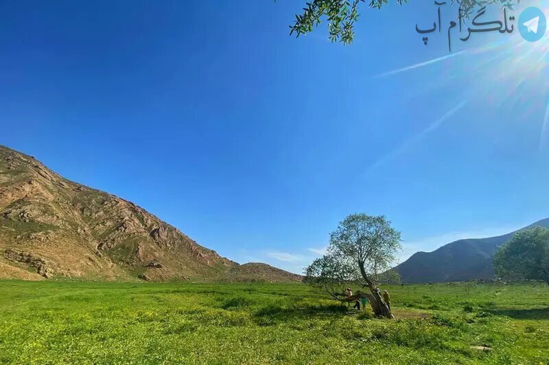 اینجا بهشت خوش آب و هوای تهرانی‌ها است!