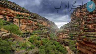 تنگه شیرز دره‌ای رویایی و سرسبز در استان لرستان+عکس – تلگرام آپ